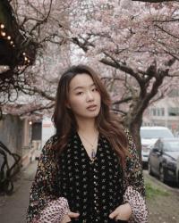 Fremont Cherry Blossom