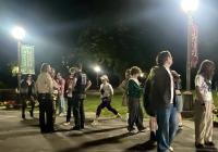 Nighttime crowd under park lamps